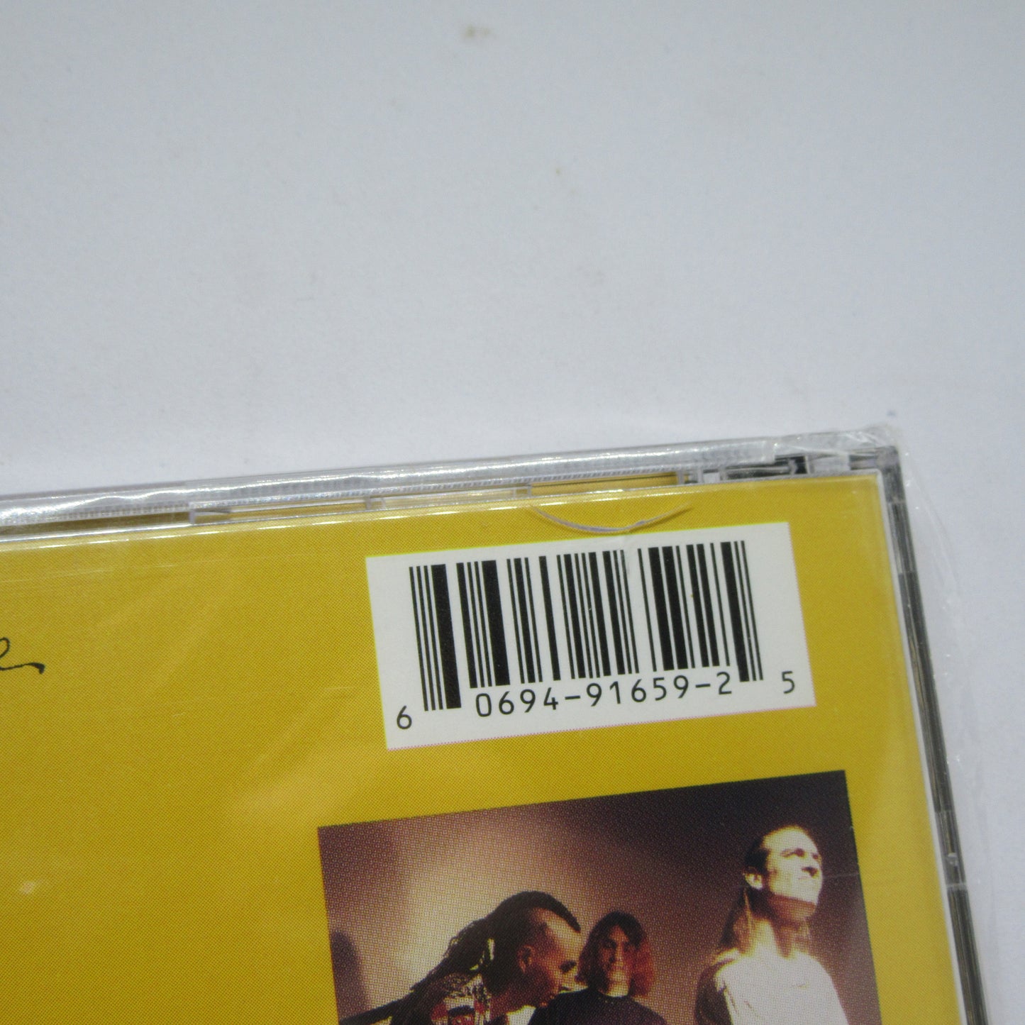 Sailing the Seas of Cheese