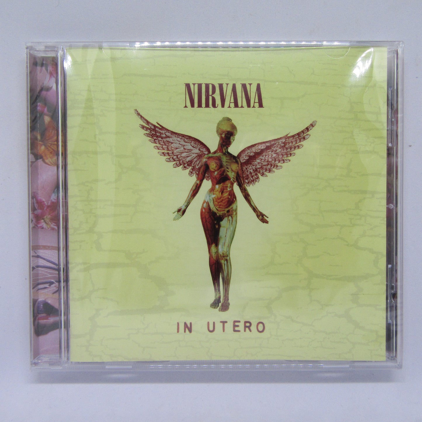 In Utero
